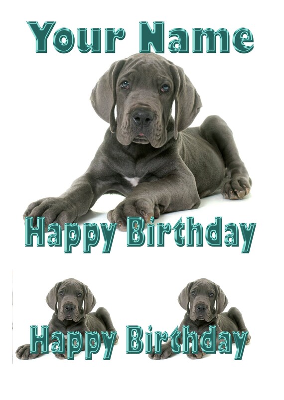 Grand Chien Danois Anniversaire Personnalise Edible Square Etsy Canada