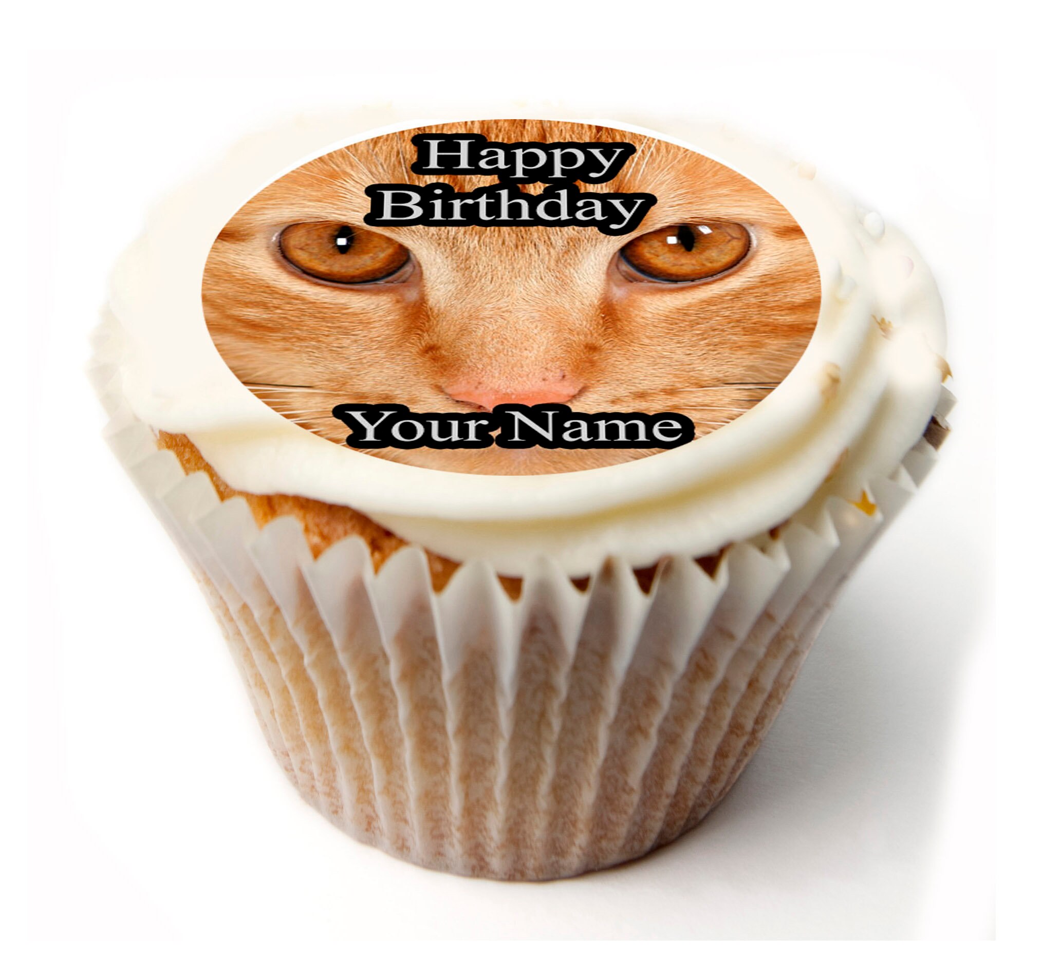 Ginger Cat Birthday Personalised X Cupcake Toppers Rice Etsy