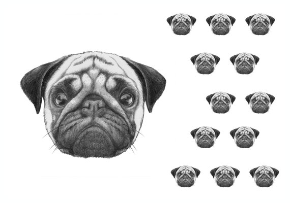 Diva Pug Perro Redondo Comestible Cumpleaños Cake Topper Decoración Personalizada