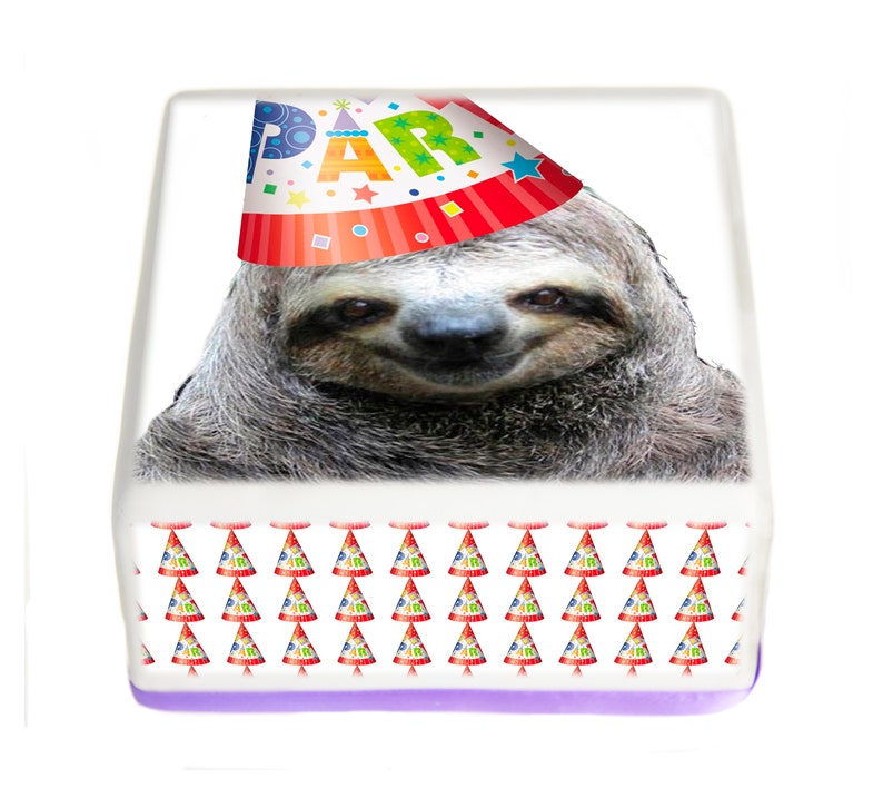 Sloth Birthday Personalised Edible Square Cake Topper Rice