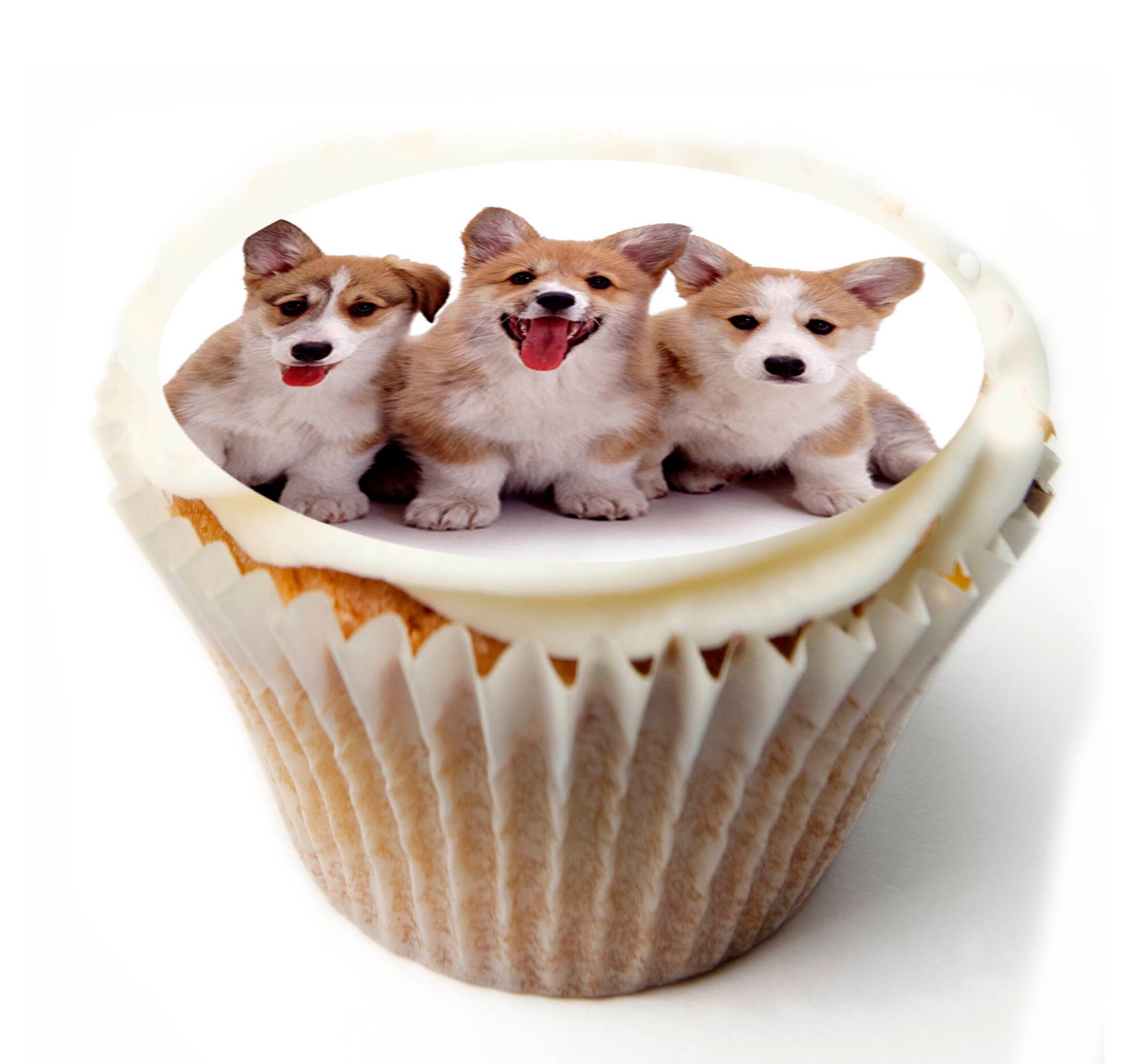 Dogs Cumpleaños Personalizado x20 Cupcake toppers Etsy