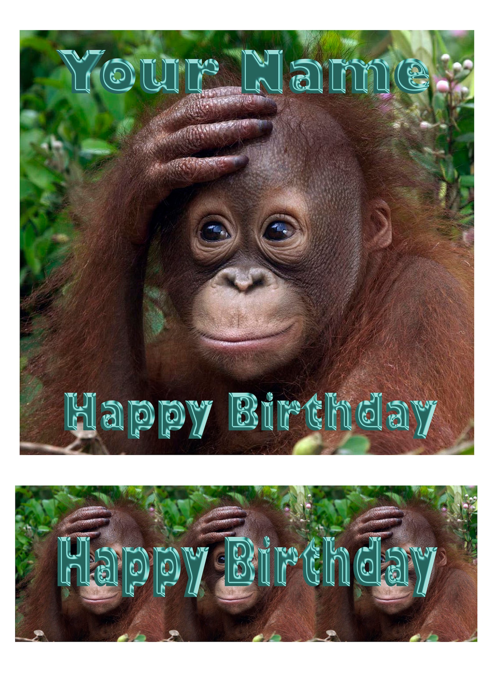 Orangutan Birthday Personalised Edible Square Cake Topper - Etsy UK