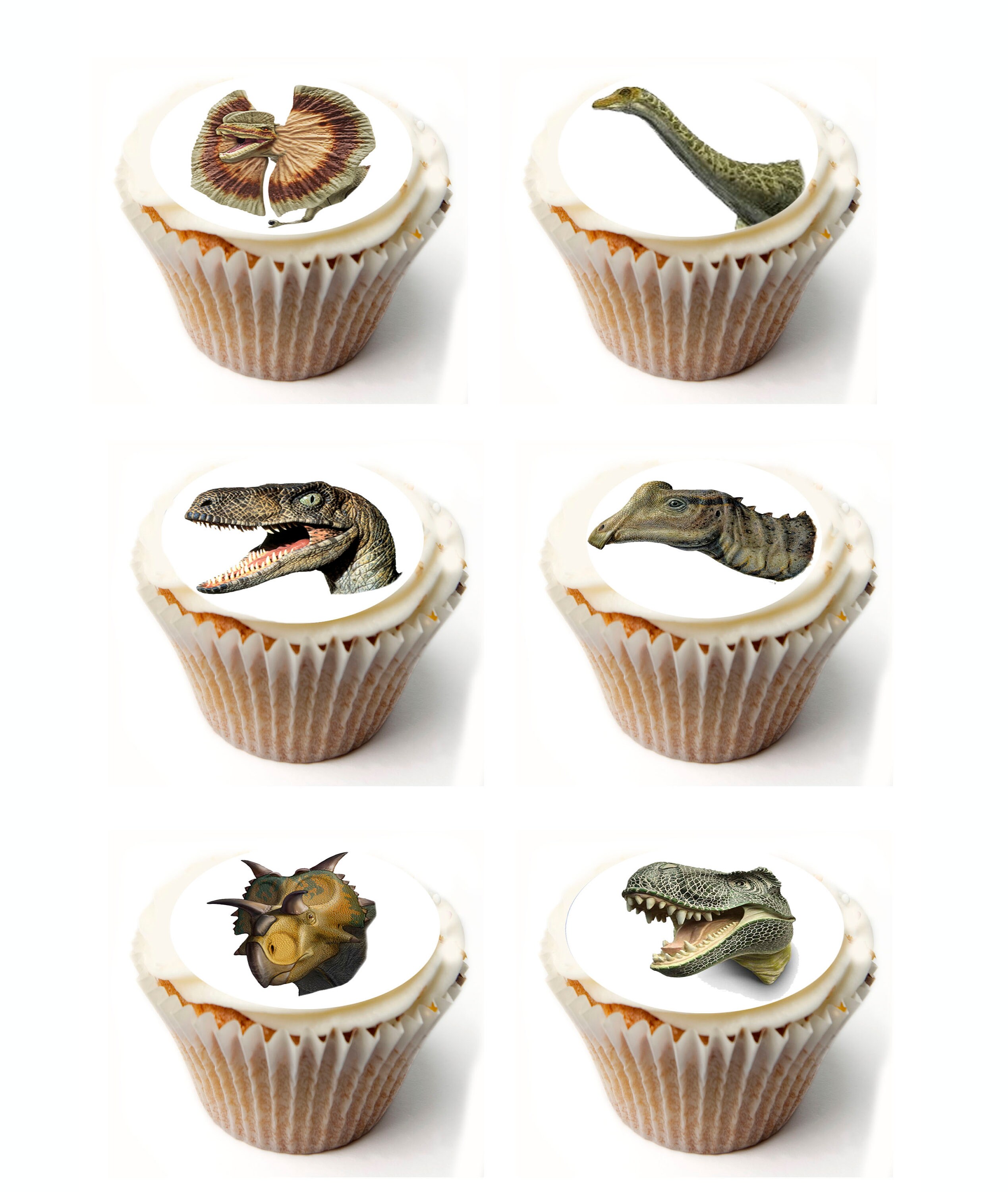 1 7 Inch Edible Image Cake & Cupcake Toppers Frosting Sheet & Wafer Dinosaurs 1 7 Inch Edible Image Cake & Cupcake Toppers Frosting Sheet & Wafer Dinosaurs