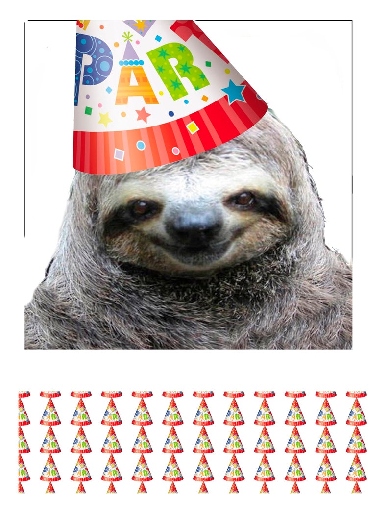 Sloth Birthday Personalised Edible Square Cake Topper Rice