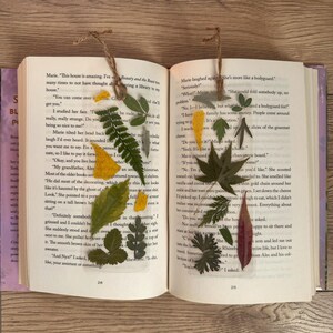 May include: Two open books with pressed flowers and leaves as bookmarks. The text on the left page reads "Beauty and the Beast" and the text on the right page reads "She's more like a bodyguard".