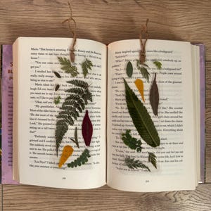 May include: Two open books with pressed flowers and leaves as bookmarks. The text on the left page reads "Ten Beauty and the Beast" and the text on the right page reads "If you say so."