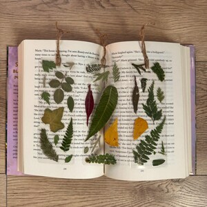 May include: A book with pressed leaves and flowers between the pages. The leaves are green, brown, and yellow. The flowers are red and white. The book is open to a page with text about a house.