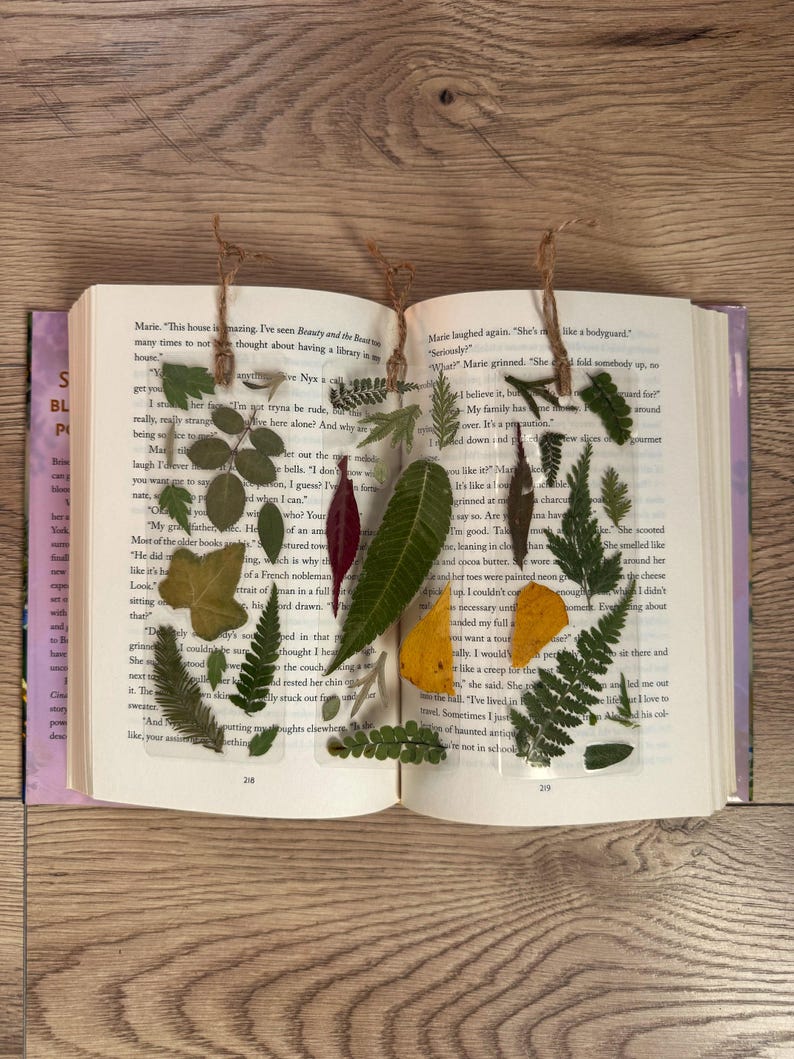 May include: A book with pressed leaves and flowers between the pages. The leaves are green, brown, and yellow. The flowers are red and white. The book is open to a page with text about a house.
