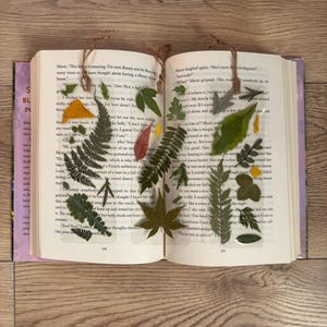 May include: A book with pressed leaves and flowers between the pages. The leaves are green, yellow, and red. The flowers are white and yellow. The book is open to a page with text about a house and a garden.