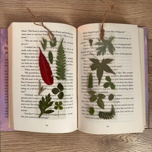 May include: An open book with pressed leaves and flowers as bookmarks. The book is open to pages with text about a house and a bodyguard. The leaves are green, red, and brown.