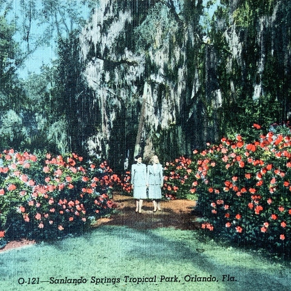 Orlando Florida Vintage Postcard, Sanlando Springs Tropical Park, Antique Photography Landscape Print - Souvenir Photo Post Card Art