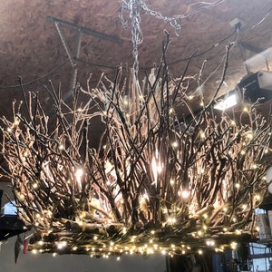 Twig light fixture deals