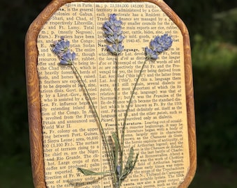 Summer Decor - Pressed Lavender Wall Art - Cottage Wall Hanging