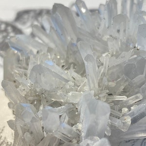 SALT AND PEPPER Rare Starburst Dow Lemurian Quartz, Crysanthemum Quartz Cluster, Columbian Quartz, Lithium Quartz Cluster, Collector Piece