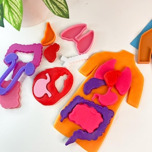 Stencilkit menselijke lichaamsorganen spelen: beeldhouwen, plaatsen en ontdekken