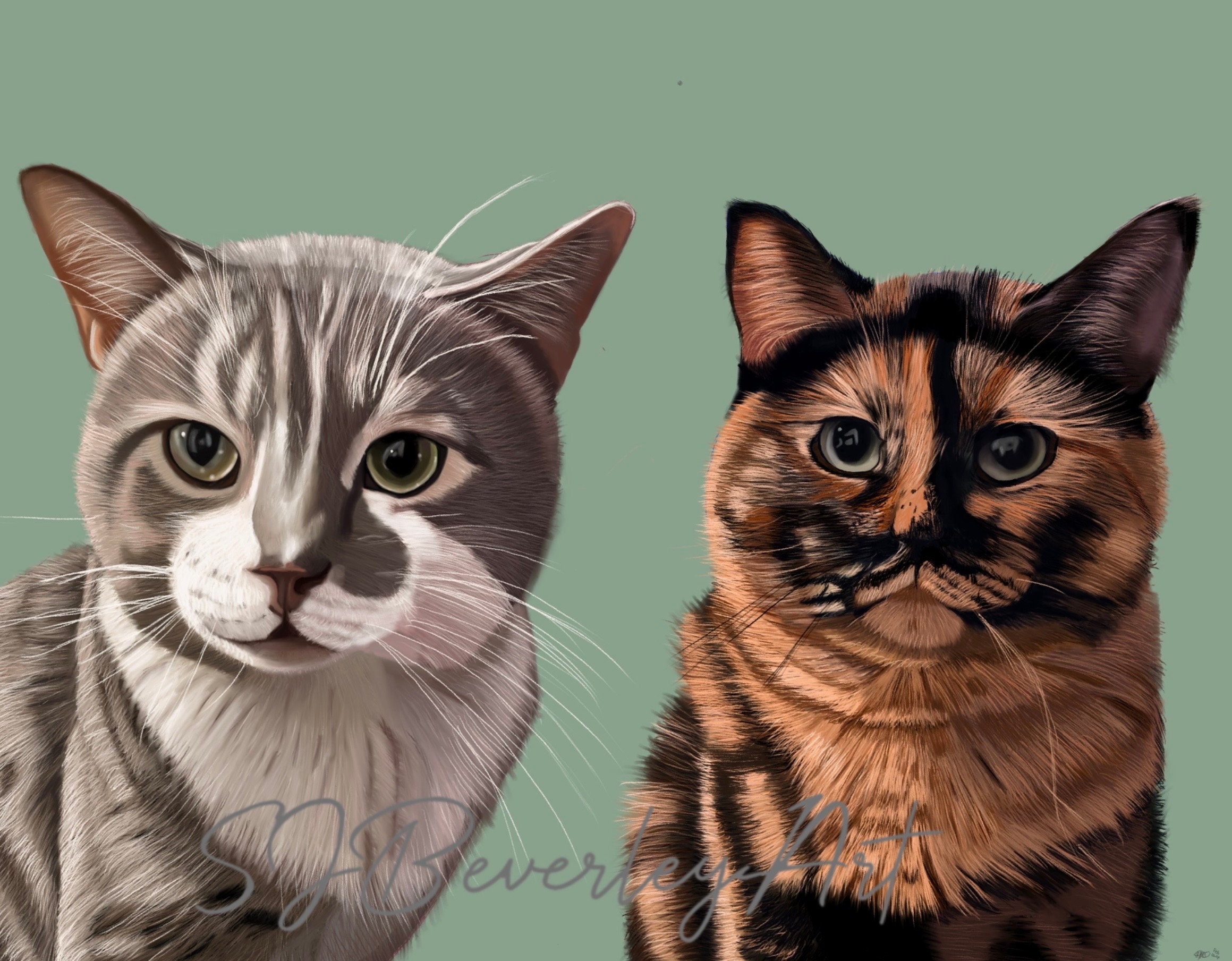Custom Hand Drawn Digital Pet Portraits - Etsy