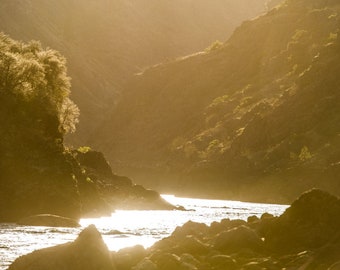 Golden Light on the Salmon River, Idaho | Landscape Photography | Photographic Print, Canvas, Metal | Fine Art | Wall Decor |