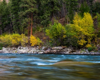 Fall Colors on the MIddle Fork Salmon River, Idaho | Landscape Photography | Photographic Print, Canvas, Metal | Fine Art | Wall Decor |