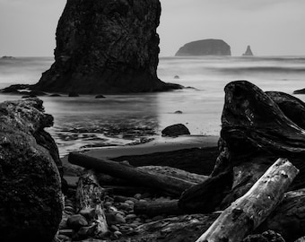 Olympic National Park, Washington Coast | Landscape Photography | Photographic Print, Canvas, Metal | Fine Art | Wall Decor | B&W