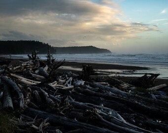 Olympic National Park, Driftwood, Washington Coast | Landscape Photography | Photographic Print, Canvas, Metal | Fine Art | Wall Decor
