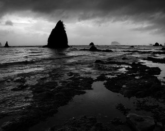 Olympic National Park, Washington Coast | Landscape Photography | Photographic Print, Canvas, Metal | Fine Art | Wall Decor | B&W