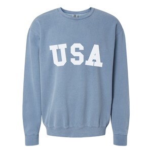 Pu&ograve; includere: Una felpa blu chiaro con la scritta "USA" stampata in bianco sul davanti.