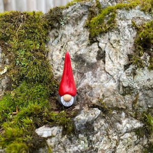 May include: A small red and gray gnome figurine with a white beard, sitting on a mossy rock.