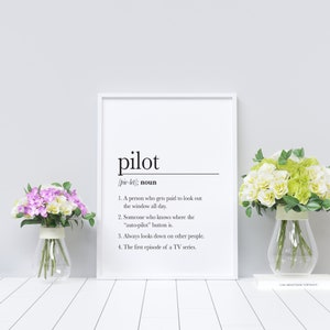 Pilot Gifts, Aviation Gifts, Aviation Decor, Funny Pilot Definition Print, Digital Download Gift, Pilot Gift For Pilot Poster image 10