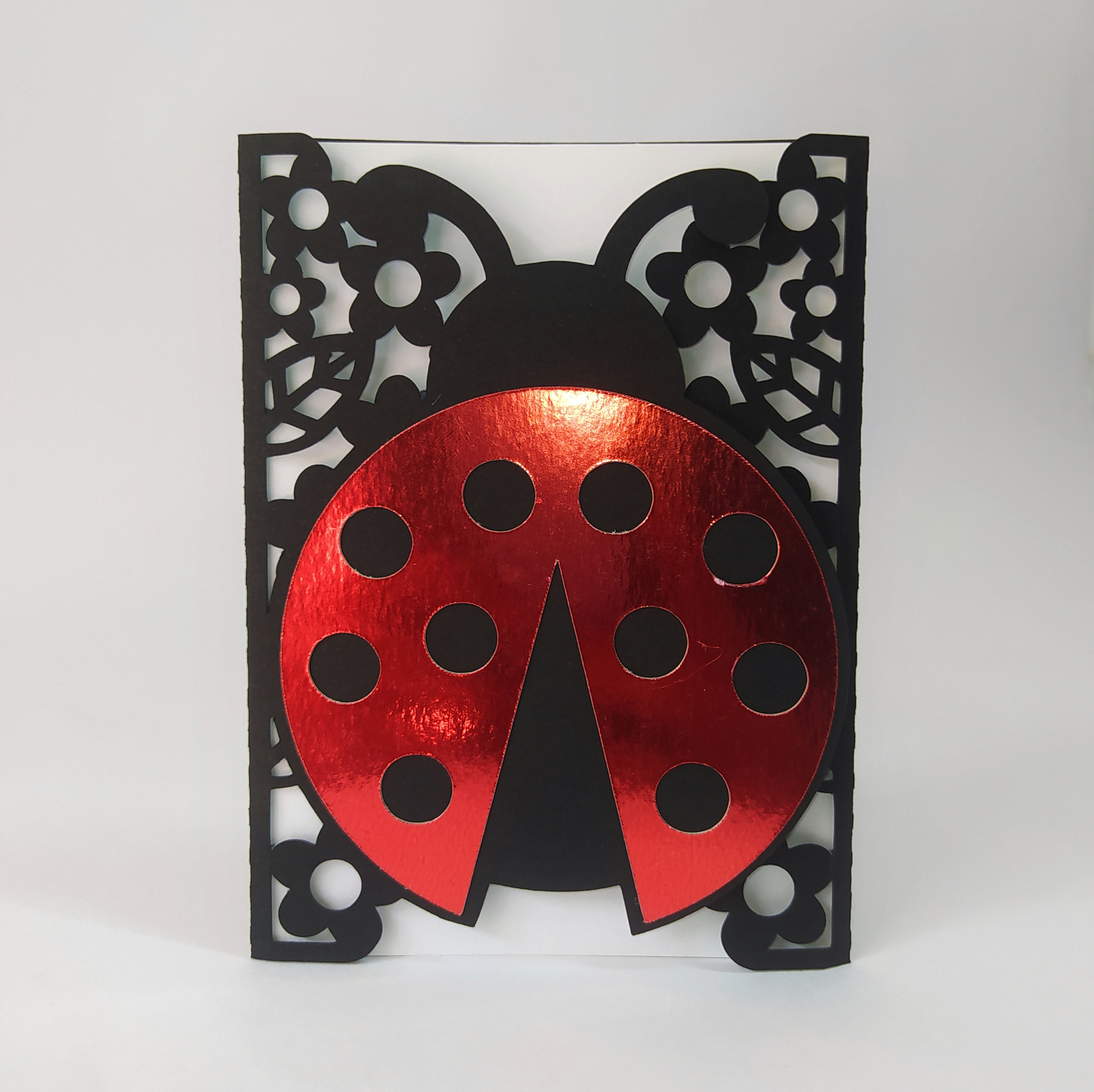 Toile de fond Miraculous Ladybug V3 pour décorations de fête d'anniversaire  - 1,5 x 0,9 m : : Électronique