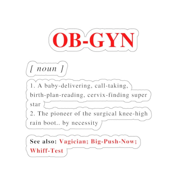 Gifts for Ob Gyn Doctors 60+ Gift Ideas for 2024