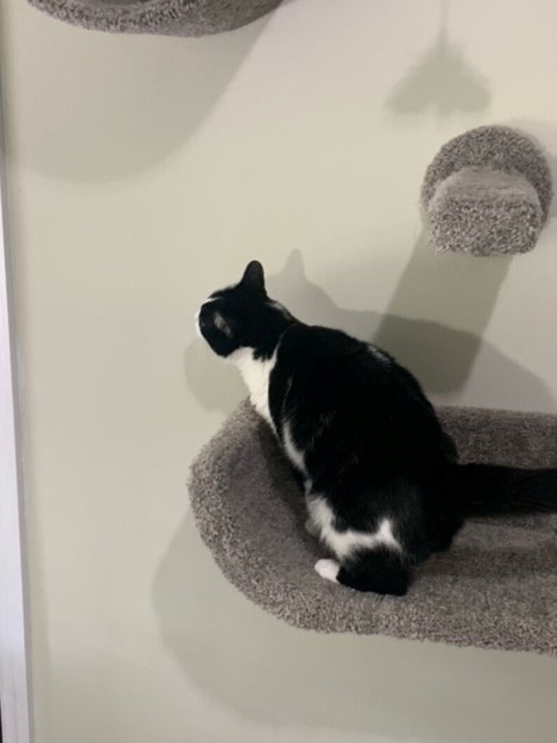 Cat Lounger/bed Grey Double Sized single Item Etsy