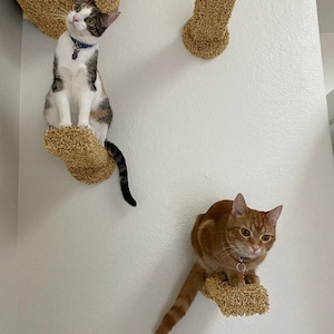 Steps / Perches  - Two Beige Wall Mounted Cat Furniture