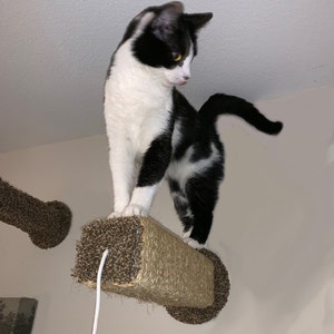 Scratching Post - Brown Scratcher