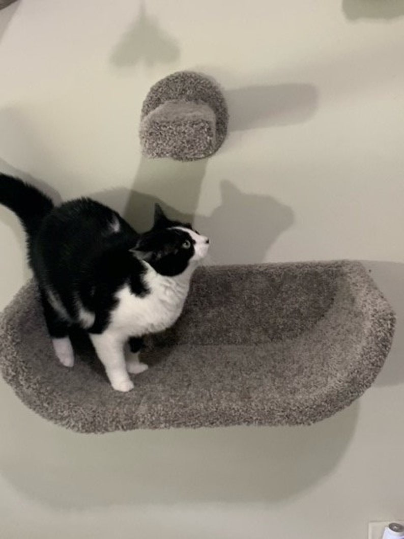 Cat Lounger/bed Grey Double Sized single Item Etsy