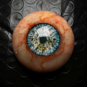 May include: A realistic prosthetic eye featuring a vibrant blue iris with intricate dark flecks and a central black pupil. The surrounding sclera is a pale off-white tone, detailed with fine, branching red blood vessels across the surface.