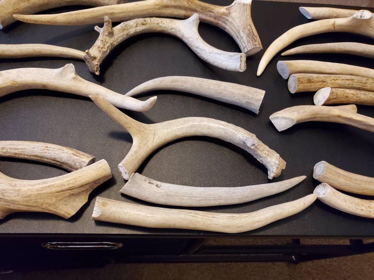 Deer Antler Dog Chew Pet Toy Pet Treat Etsy