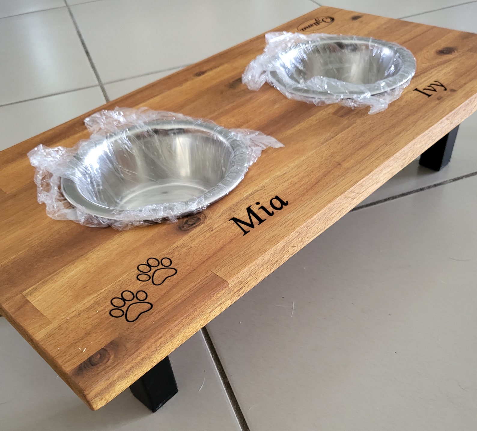 Elevated Dog Bowls Should You Get One For Your Dog?