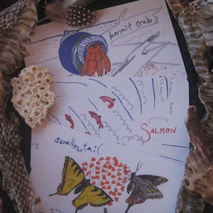 Cartes de sagesse animal sur le thème de la transformation (version mini)