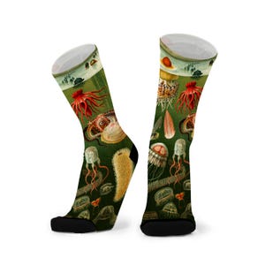 May include: Knee-high socks with a vintage illustration of sea creatures, including octopuses and jellyfish. The socks have a dark green background, black toes, and white tops. The design is detailed and colourful, featuring various marine life illustrations.