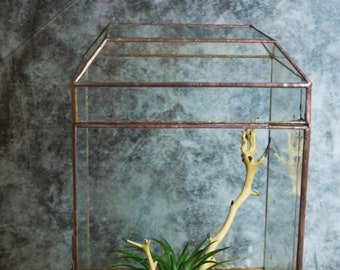 Wardian-väska. Stängt terrarium. Kruka i målat glas. Geometrisk dekor. Geometriskt terrarium. Terrarium. Terrariumbehållare
