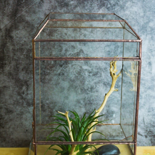 Wardian case. Closed Terrarium. Stained Glass Planter. Geometric Decor. Geometric Terrarium. Terrarium. Terrarium Container