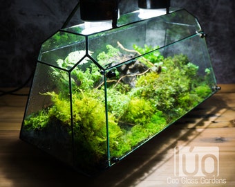 The Vulcan-x, Stain Glass Terrarium, International Exclusive von LuadesignVN (Nur Box, Pflanzen sind nicht enthalten)