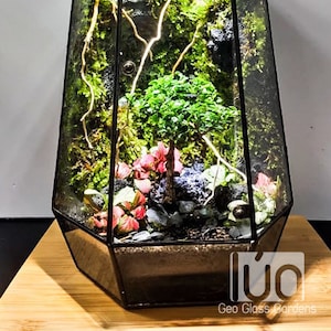 Könnte beinhalten: Ein geometrisches Glas-Terrarium mit einem schwarzen Metallrahmen. Das Terrarium ist gefüllt mit Moos, einem kleinen Baum und rosa Blüten. Das Terrarium steht auf einer Holzoberfläche. Geo Glass Gardens ist auf der Holzoberfläche aufgedruckt.