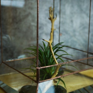Wardian case. Closed Terrarium. Stained Glass Planter. Geometric Decor. Geometric Terrarium. Terrarium. Terrarium Container image 4