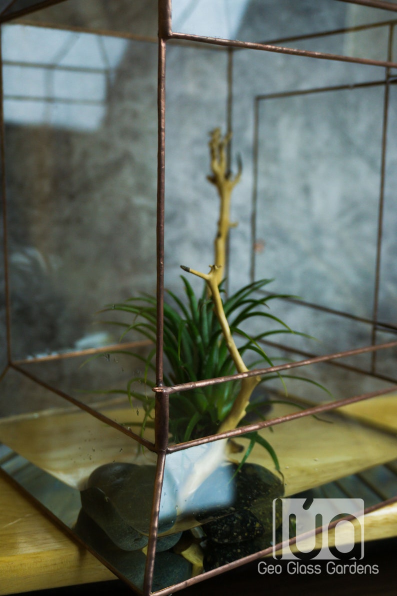 Wardian case. Closed Terrarium. Stained Glass Planter. Geometric Decor. Geometric Terrarium. Terrarium. Terrarium Container image 4