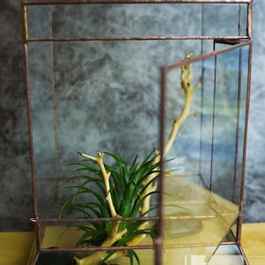 Wardian case. Closed Terrarium. Stained Glass Planter. Geometric Decor. Geometric Terrarium. Terrarium. Terrarium Container image 6