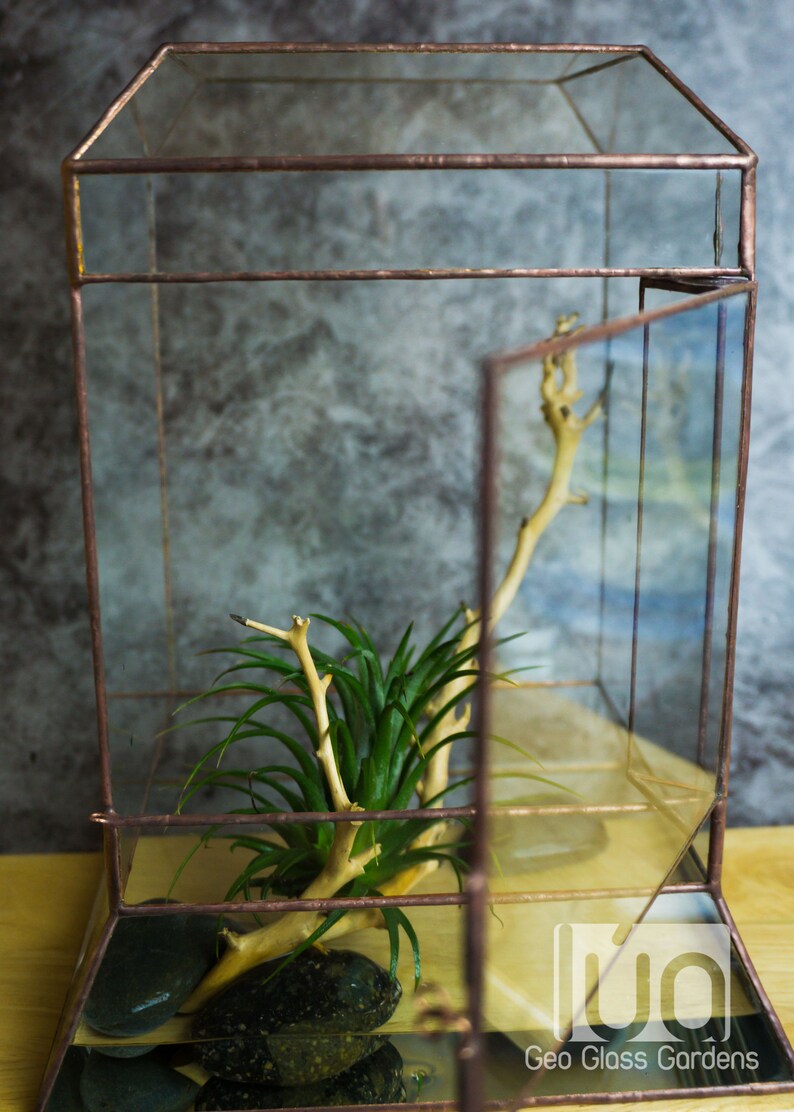 Wardian case. Closed Terrarium. Stained Glass Planter. Geometric Decor. Geometric Terrarium. Terrarium. Terrarium Container image 6