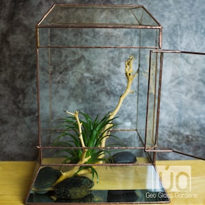 Wardian case. Closed Terrarium. Stained Glass Planter. Geometric Decor. Geometric Terrarium. Terrarium. Terrarium Container image 9