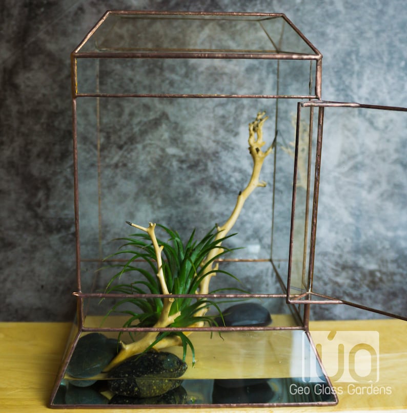 Wardian case. Closed Terrarium. Stained Glass Planter. Geometric Decor. Geometric Terrarium. Terrarium. Terrarium Container image 9