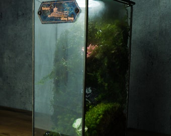 VAUBAN Castle - Stain Glass Terrarium, Ready to Fly (Only Box, Plants and mosses are not included)